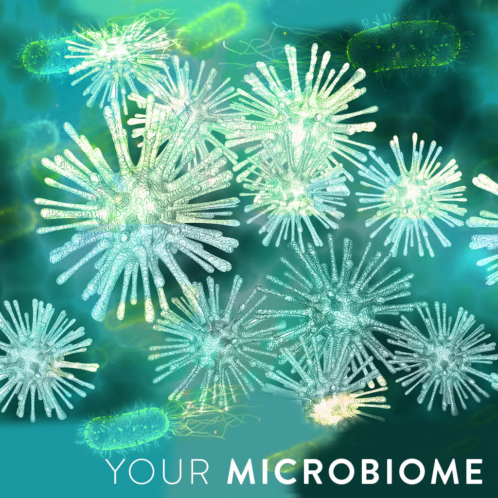 Your gut microbiome and why it matters