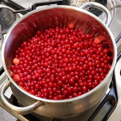 Kay Lawson's delicious redcurrant fruit roll ups