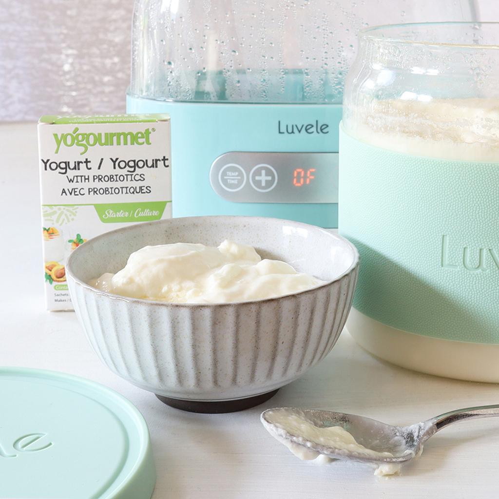 how to make yogurt